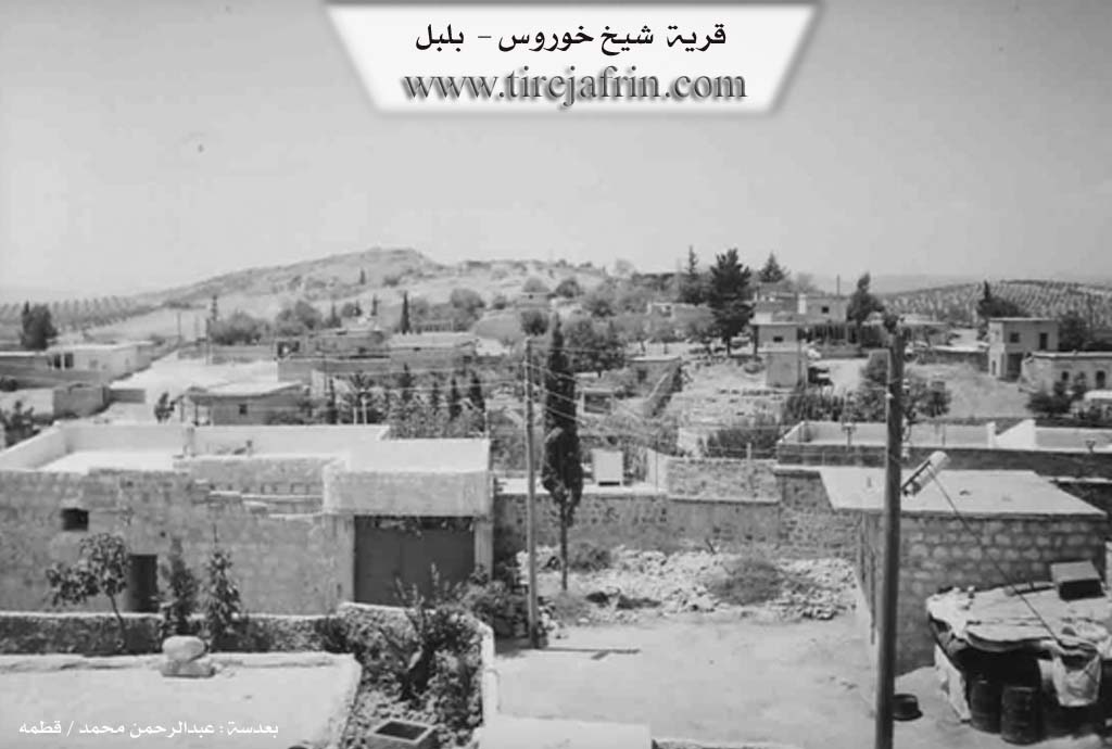 Photo of Şêxorz